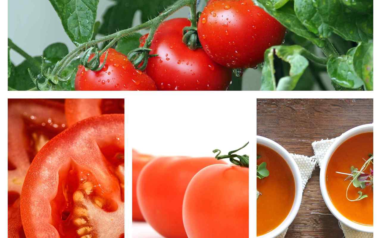 pomodoro