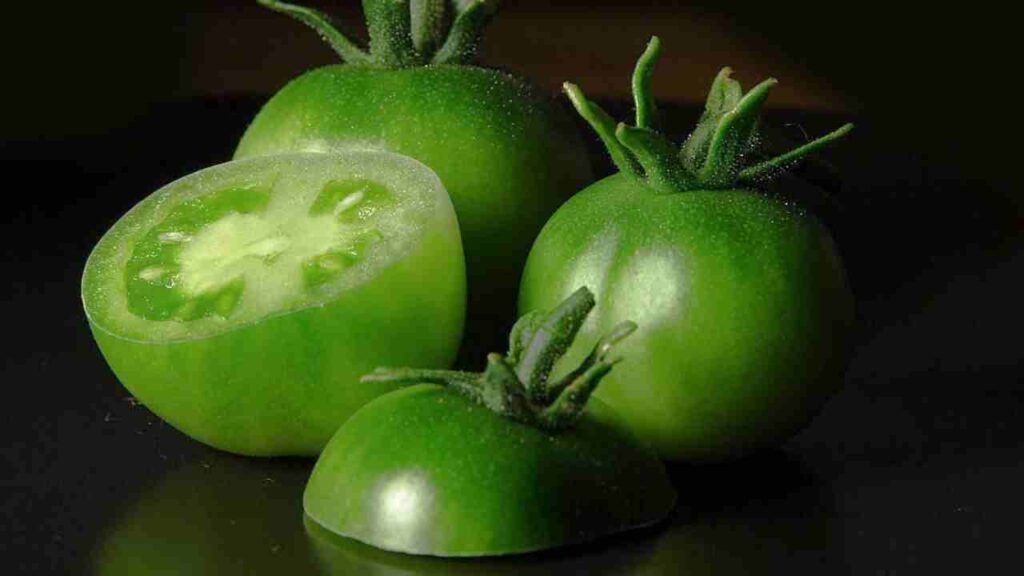 pomodori verdi sott olio ricette
