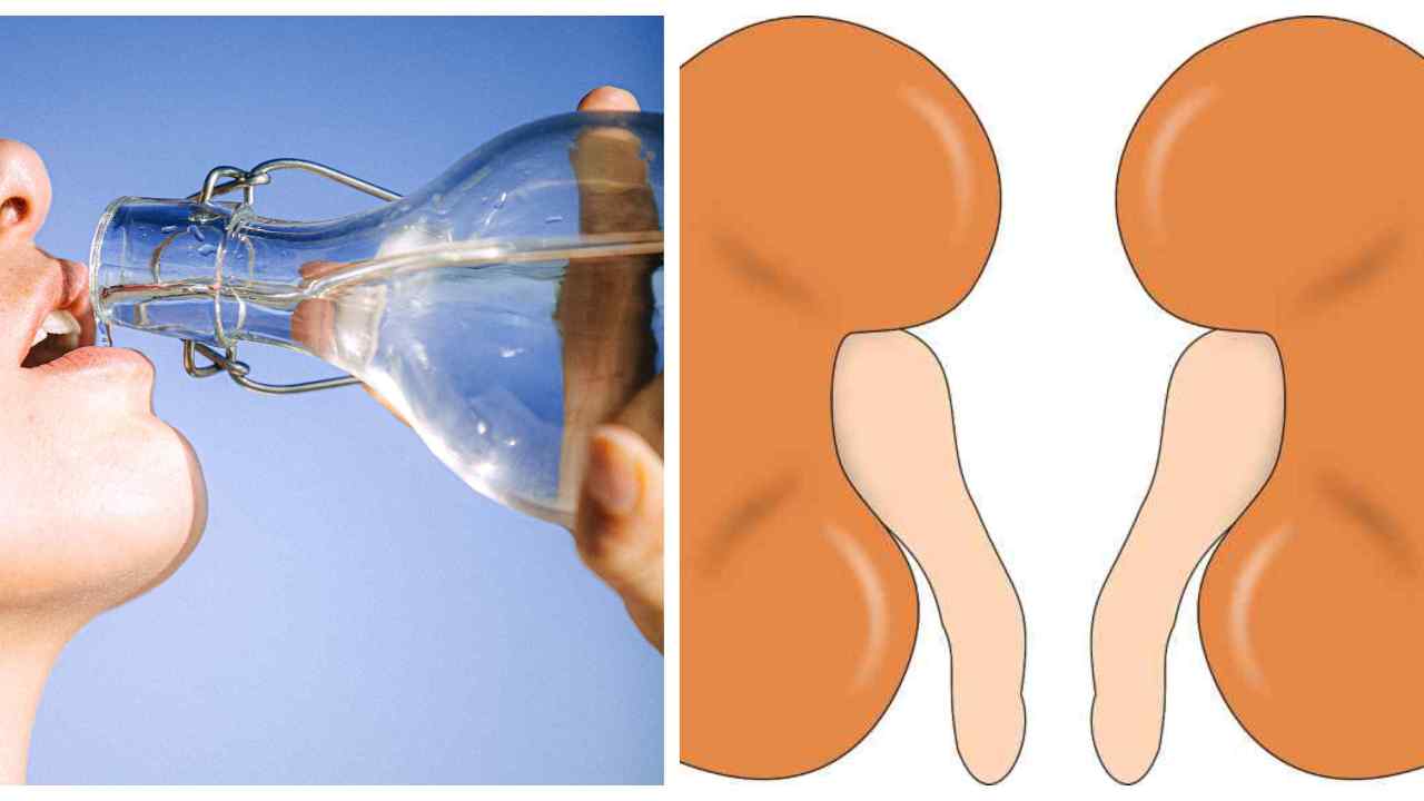 acqua minerale per preservare i reni 1