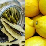 foglie-di-alloro-e-limone (2)