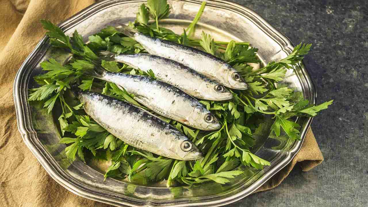 dieta delle sardine