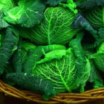 in-quale-condizione-è-meglio-non-mangiare-la-verza
