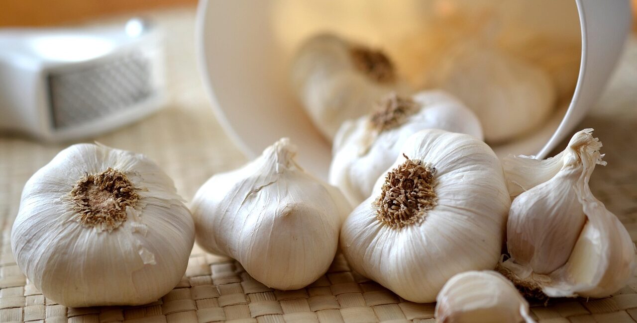 congerdesign-garlic-545223_1280